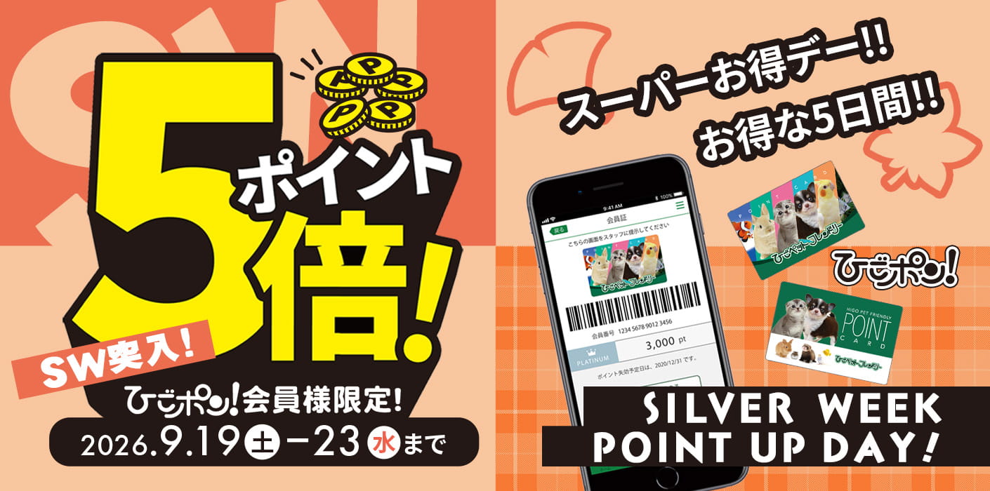 シルバーウィークポイント５倍