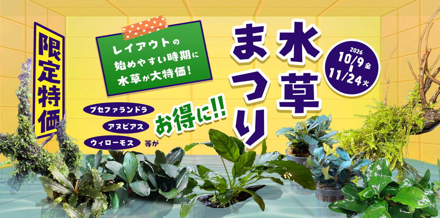 水草まつり