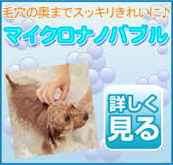 マイクロバブル