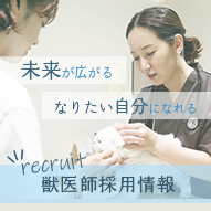 ひごペットフレンドリー  獣医師 採用サイト