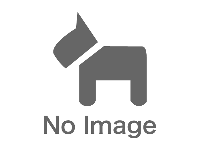 ポメラニアン